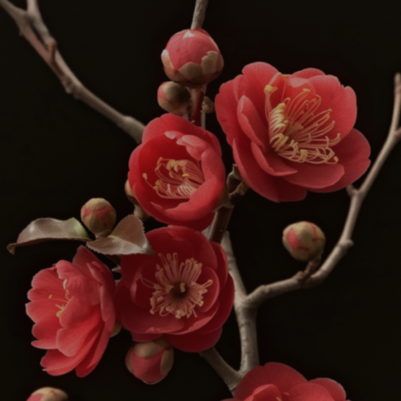 Botolab Deserticola Plus Hair Oil Serum