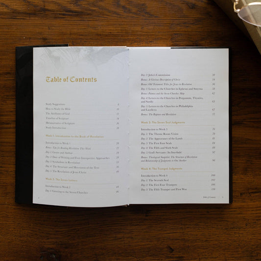 Revelation: The End of Time and the Eternal King - Hardcover